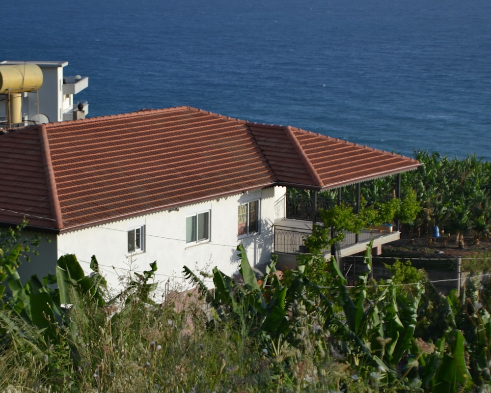 Costera mediterránea