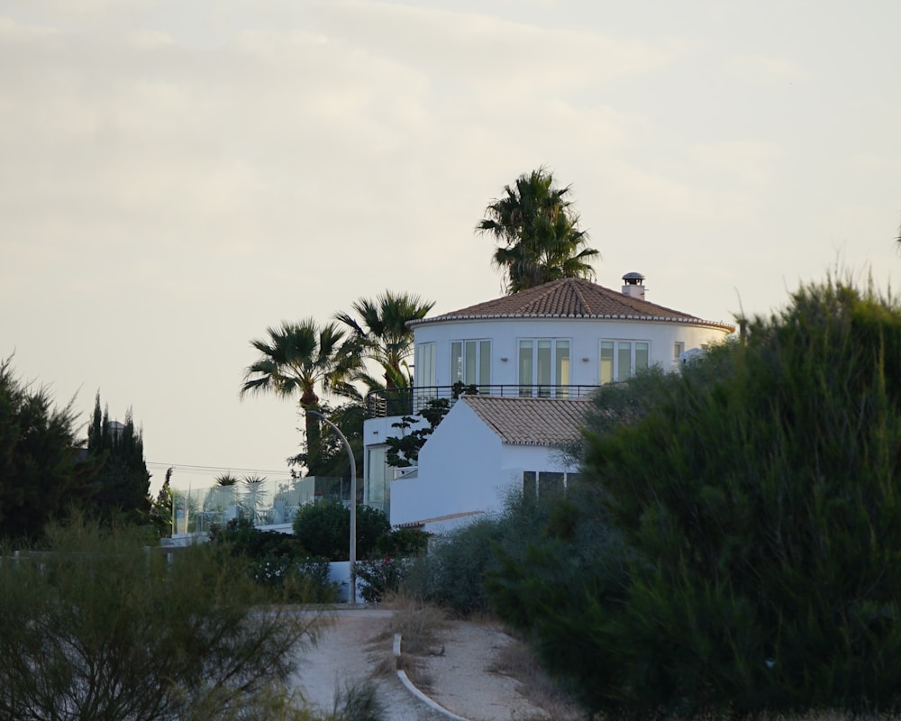 Ibicenca blanca